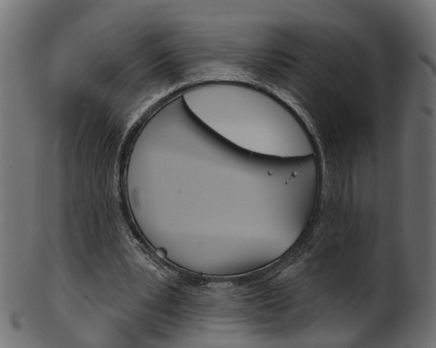 X0000102040391200807181035