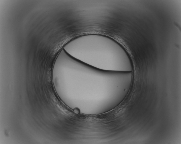 X0000102040393200807181035