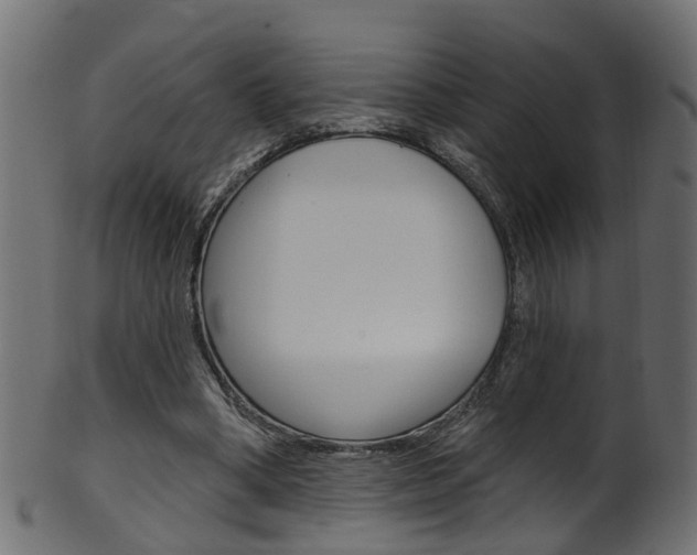 X0000102040394200807181035