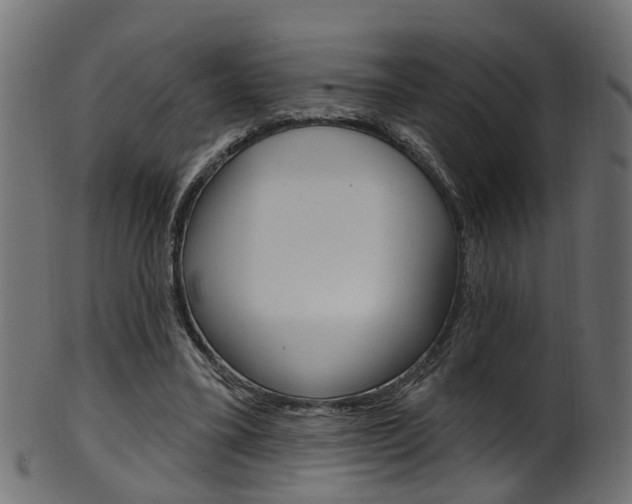 X0000102040395200807181034