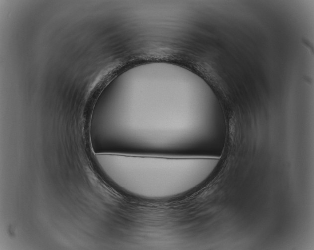 X0000102040396200807181034