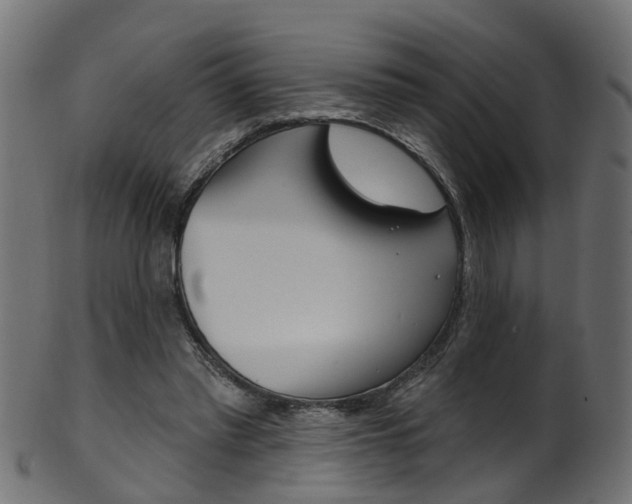 X0000102040397200807181034