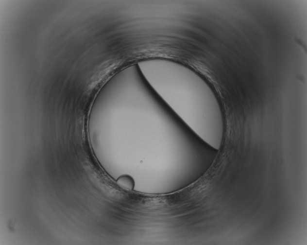 X0000102040398200807181034
