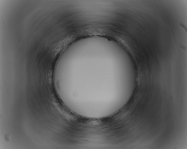 X0000102040402200807181034