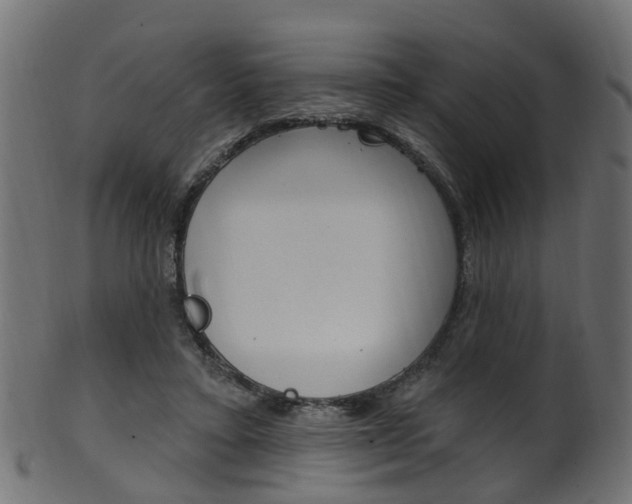 X0000102040403200807181034