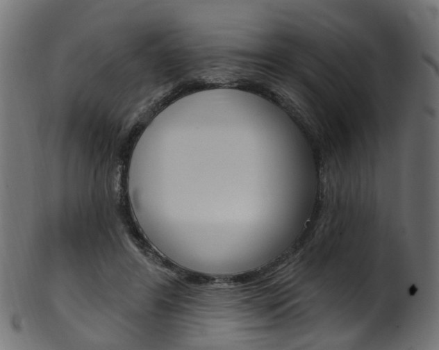 X0000102040404200807181034