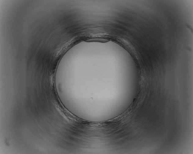X0000102040405200807181034