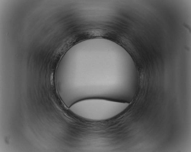 X0000102040406200807181034