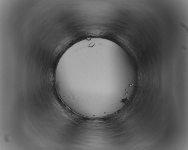 X0000102040407200807181034