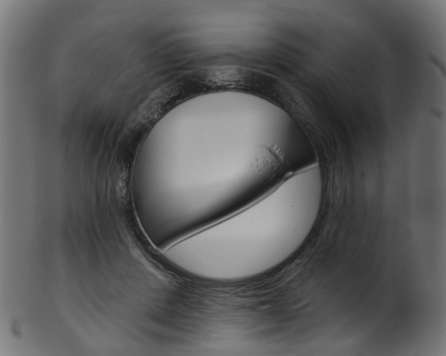 X0000102040408200807181034