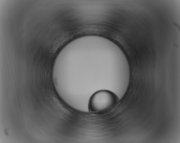 X0000102040411200807181034