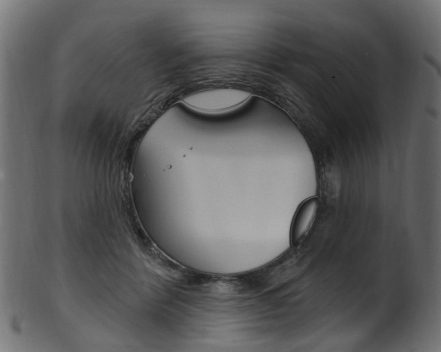 X0000102040412200807181034