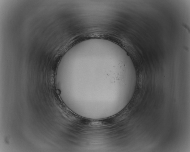 X0000102040413200807181034