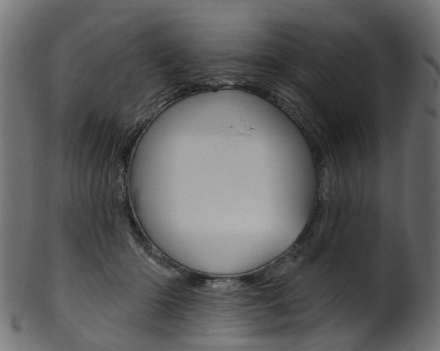 X0000102040414200807181034