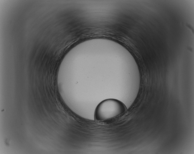 X0000102040415200807181034