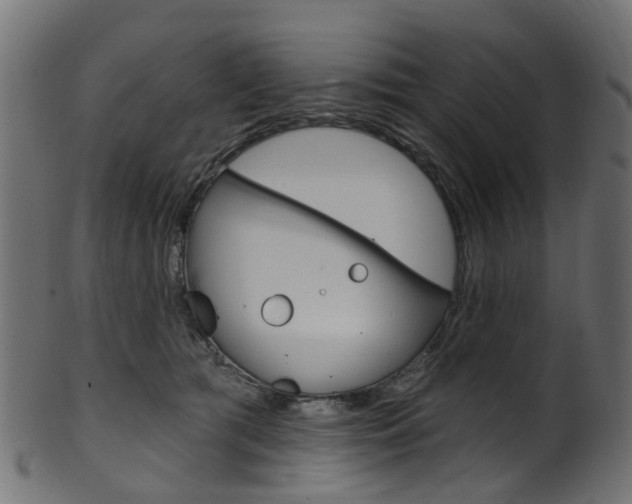 X0000102040417200807181034