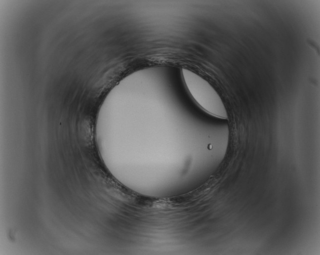 X0000102040420200807181034