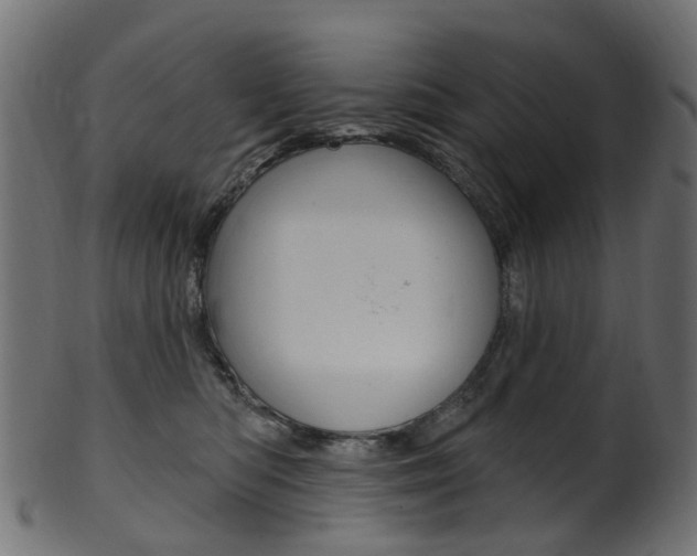X0000102040422200807181034