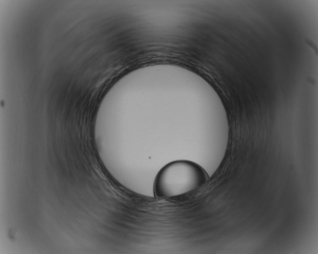X0000102040423200807181034