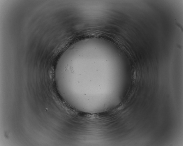 X0000102040424200807181034