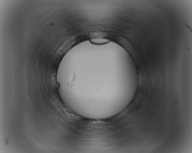 X0000102040426200807181034