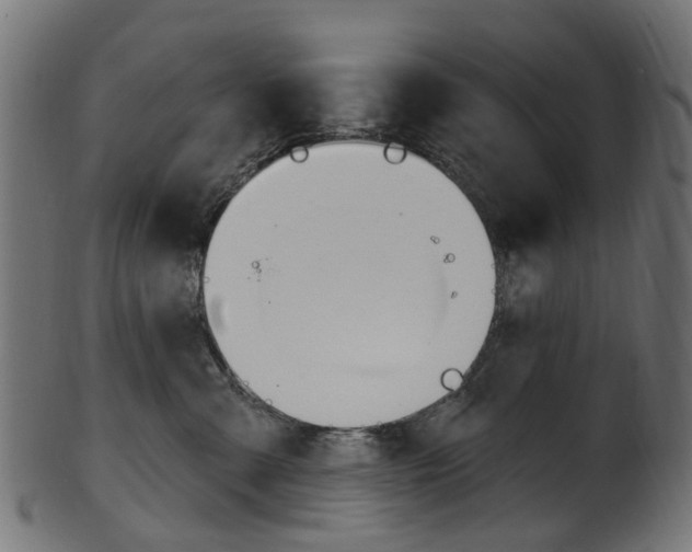 X0000102040427200807181034