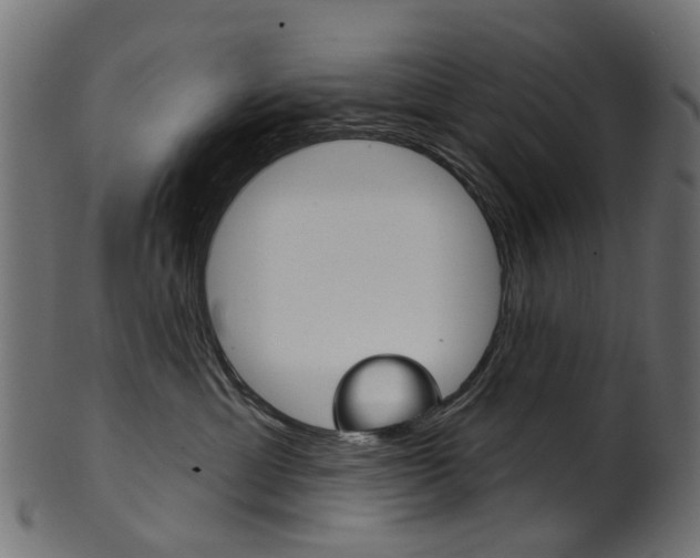 X0000102040429200807181034