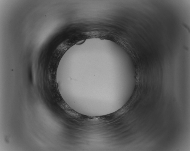 X0000102040430200807181034