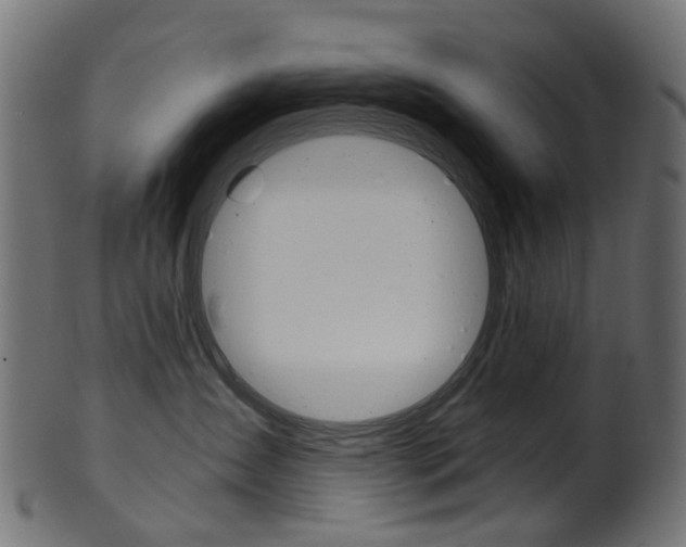 X0000102040431200807181034