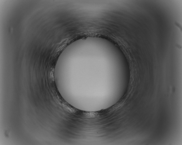 X0000102040432200807181034