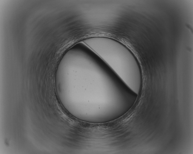X0000102040433200807181033