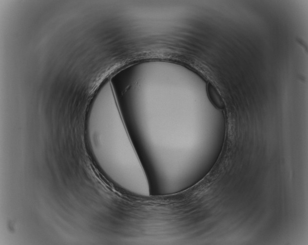 X0000102040434200807181033
