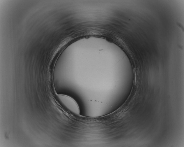 X0000102040435200807181033