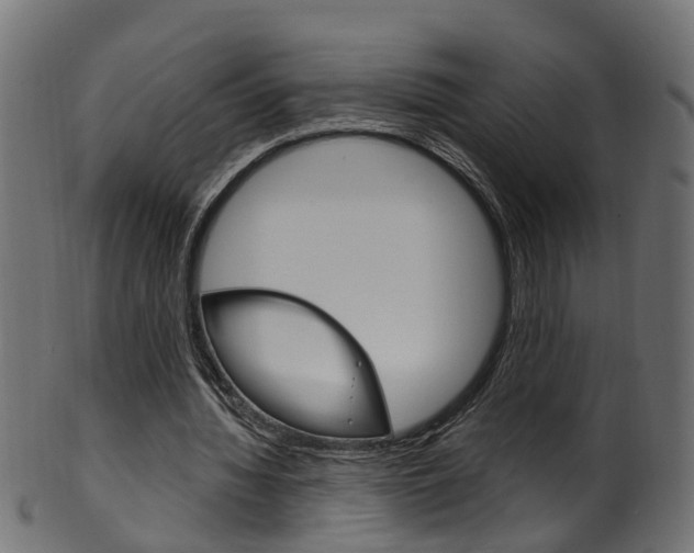 X0000102040436200807181033