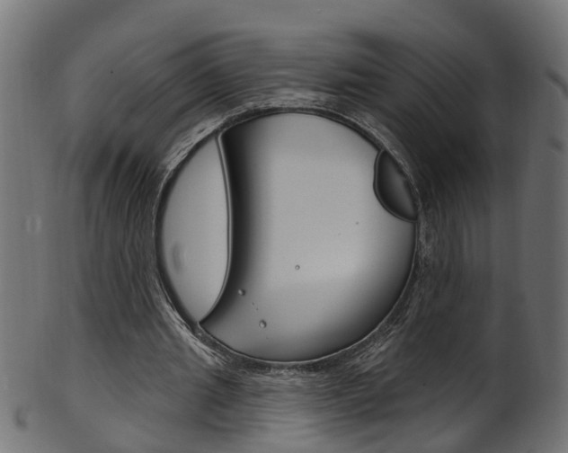 X0000102040437200807181033