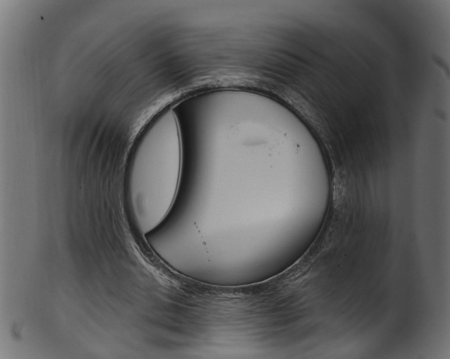 X0000102040438200807181033