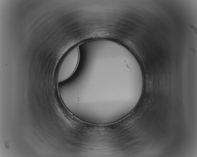 X0000102040439200807181033