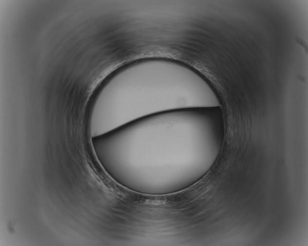 X0000102040440200807181033