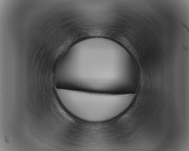 X0000102040441200807181033