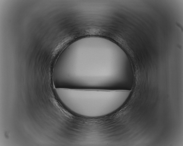 X0000102040442200807181033