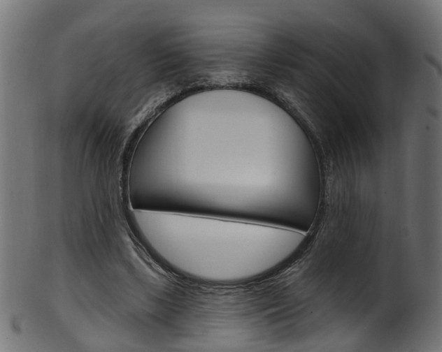 X0000102040443200807181033
