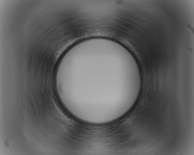 X0000102040444200807181033