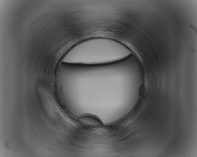 X0000102040445200807181033