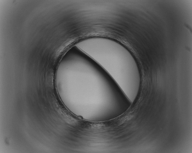 X0000102040446200807181033