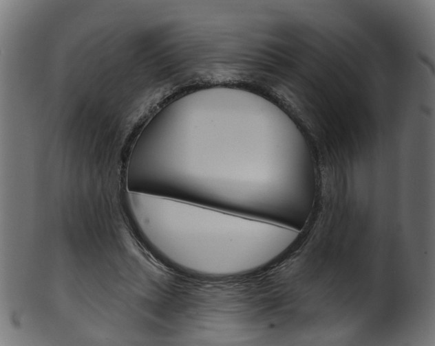 X0000102040447200807181033