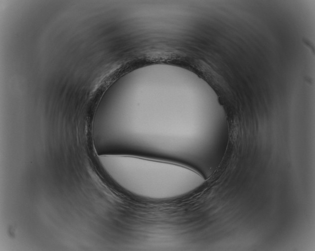 X0000102040448200807181033