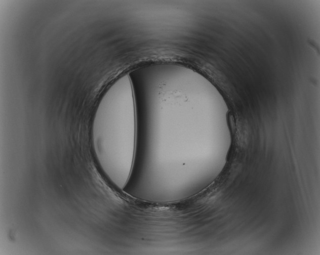 X0000102040449200807181033