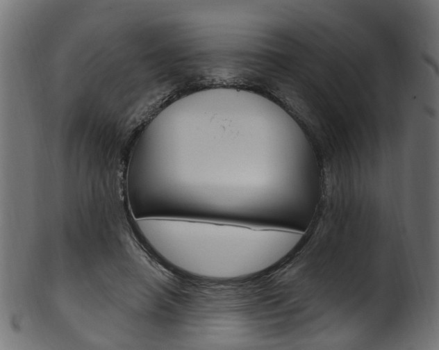 X0000102040450200807181033