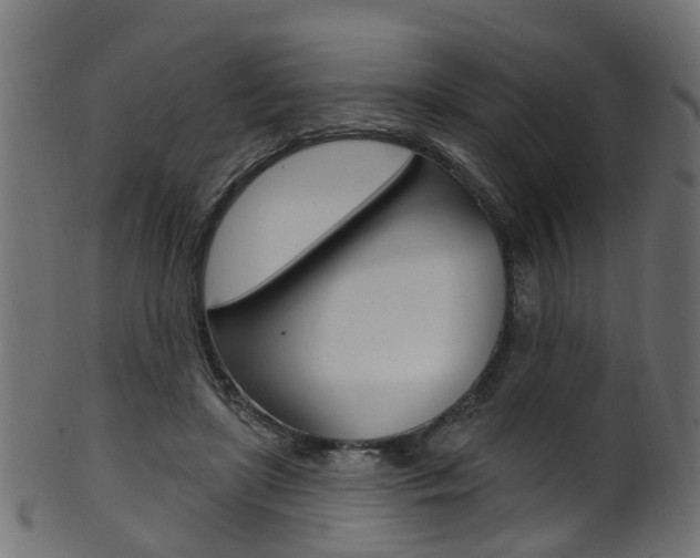 X0000102040451200807181033