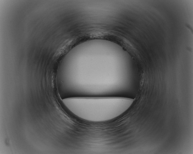 X0000102040452200807181033